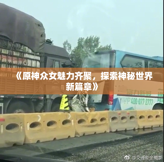 《原神众女魅力齐聚，探索神秘世界新篇章》
