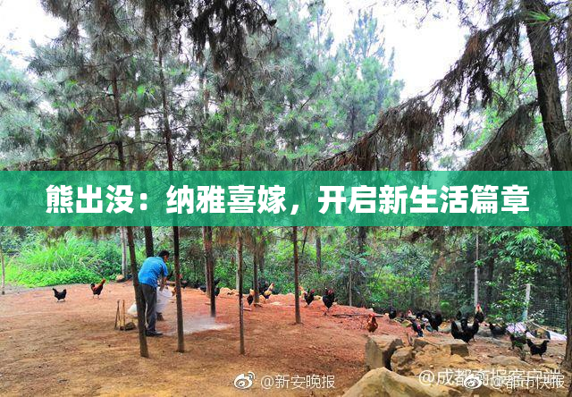 熊出没：纳雅喜嫁，开启新生活篇章