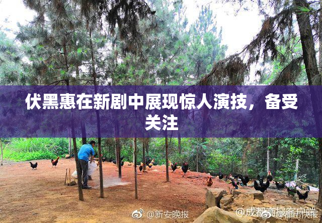 伏黑惠在新剧中展现惊人演技，备受关注