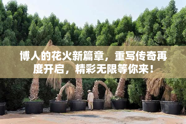 博人的花火新篇章，重写传奇再度开启，精彩无限等你来！