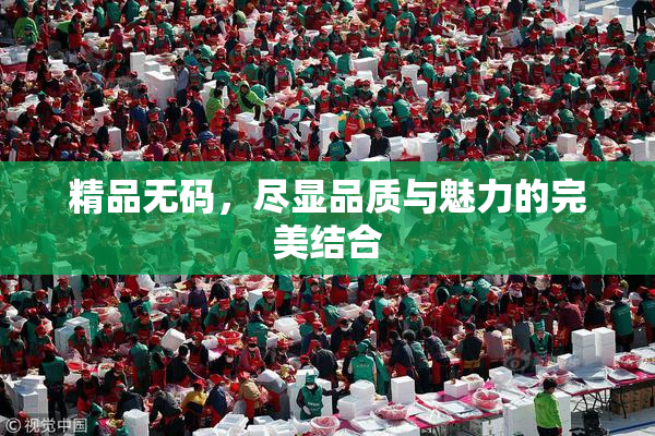精品无码，尽显品质与魅力的完美结合