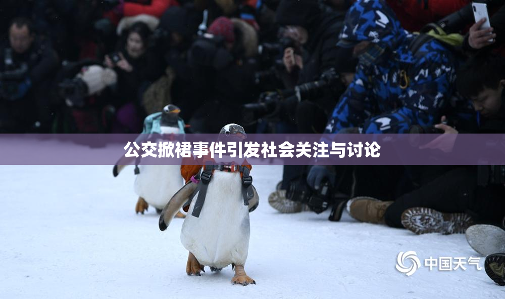 公交掀裙事件引发社会关注与讨论