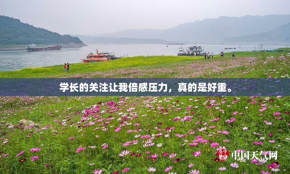 学长的关注让我倍感压力，真的是好重。