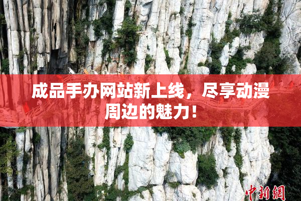 成品手办网站新上线，尽享动漫周边的魅力！