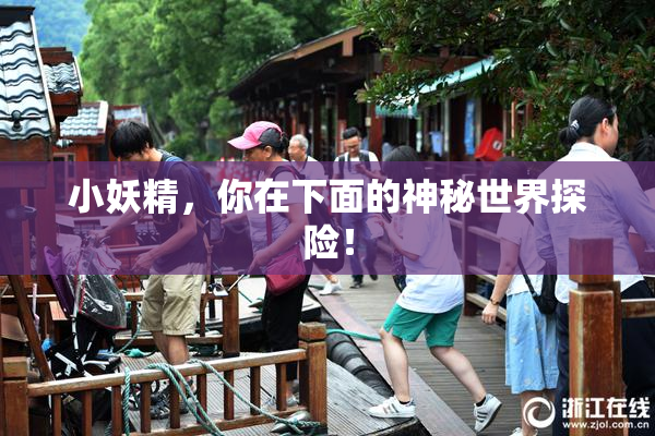 小妖精，你在下面的神秘世界探险！