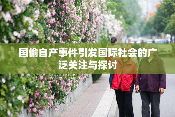 国偷自产事件引发国际社会的广泛关注与探讨