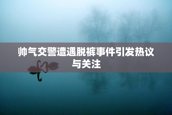 帅气交警遭遇脱裤事件引发热议与关注