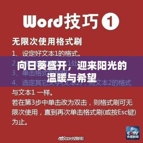 向日葵盛开，迎来阳光的温暖与希望