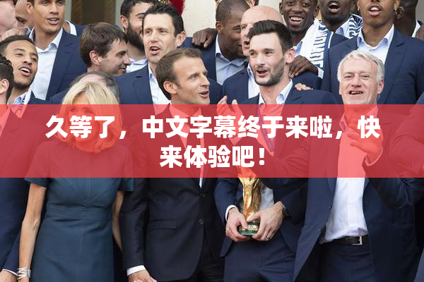 久等了，中文字幕终于来啦，快来体验吧！