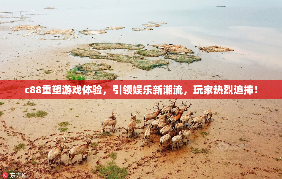 c88重塑游戏体验，引领娱乐新潮流，玩家热烈追捧！