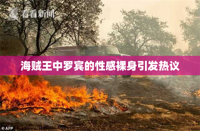 海贼王中罗宾的性感裸身引发热议