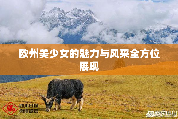 欧州美少女的魅力与风采全方位展现
