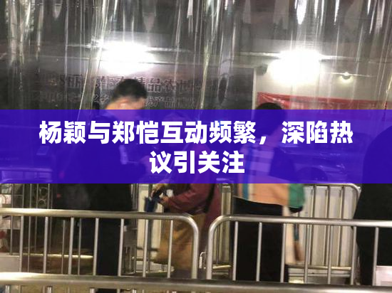杨颖与郑恺互动频繁，深陷热议引关注