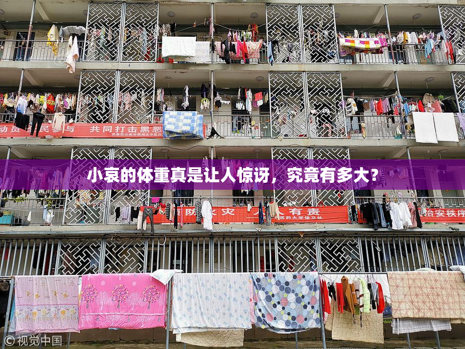 小哀的体重真是让人惊讶，究竟有多大？