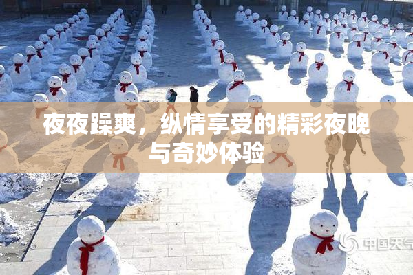 夜夜躁爽，纵情享受的精彩夜晚与奇妙体验