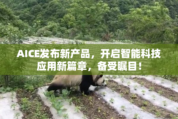 AICE发布新产品，开启智能科技应用新篇章，备受瞩目！