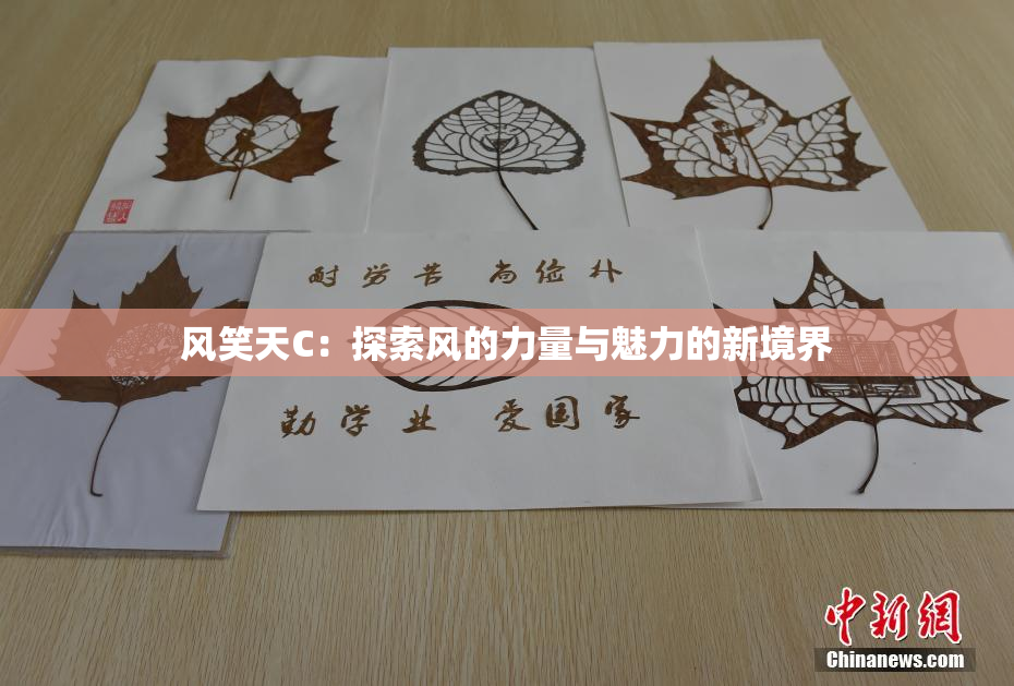 风笑天C：探索风的力量与魅力的新境界