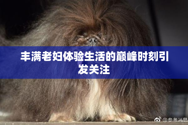 丰满老妇体验生活的巅峰时刻引发关注