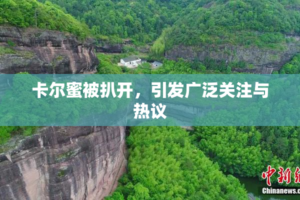 卡尔蜜被扒开，引发广泛关注与热议
