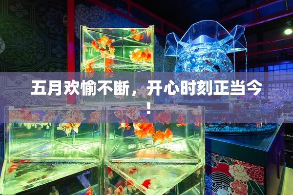 五月欢愉不断，开心时刻正当今！