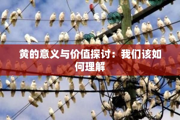 黄的意义与价值探讨：我们该如何理解