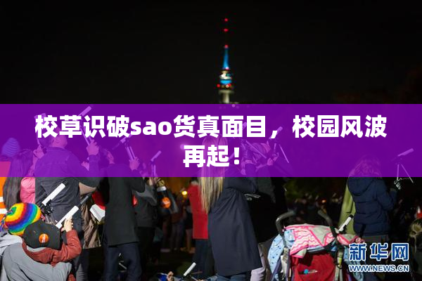 校草识破sao货真面目，校园风波再起！