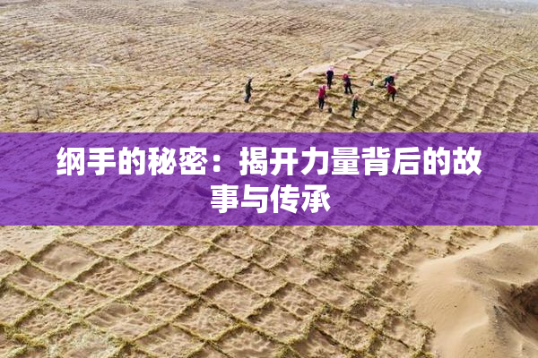 纲手的秘密：揭开力量背后的故事与传承