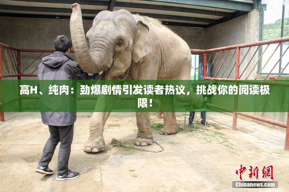 高H、纯肉：劲爆剧情引发读者热议，挑战你的阅读极限！