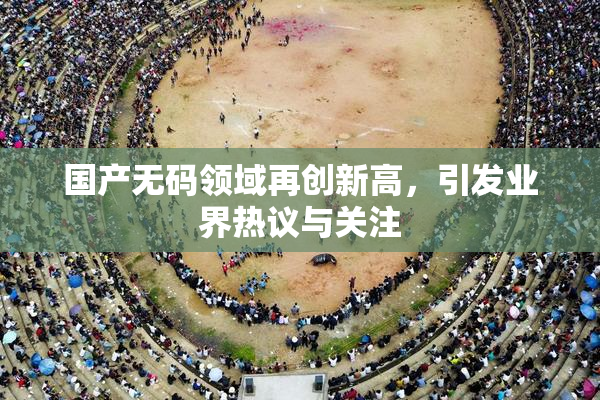 国产无码领域再创新高，引发业界热议与关注