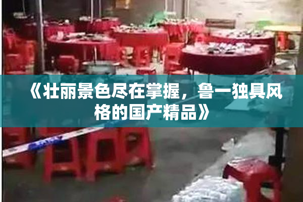 《壮丽景色尽在掌握，鲁一独具风格的国产精品》