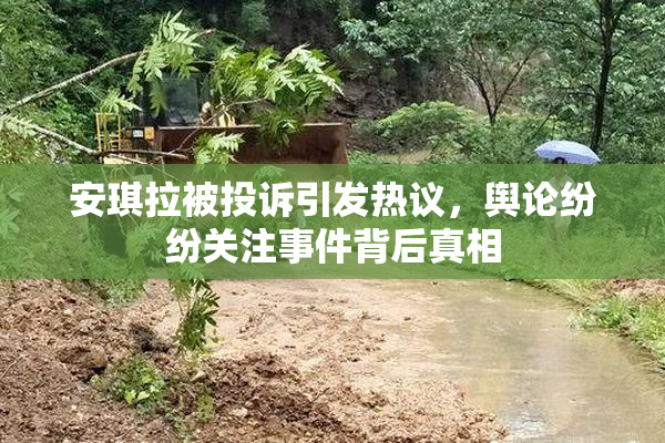 安琪拉被投诉引发热议，舆论纷纷关注事件背后真相