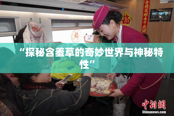 “探秘含羞草的奇妙世界与神秘特性”