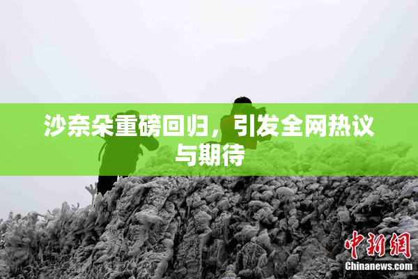 沙奈朵重磅回归，引发全网热议与期待