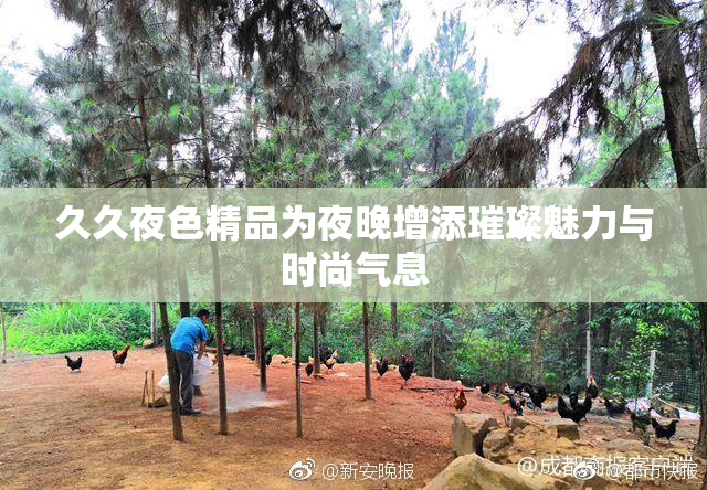 久久夜色精品为夜晚增添璀璨魅力与时尚气息