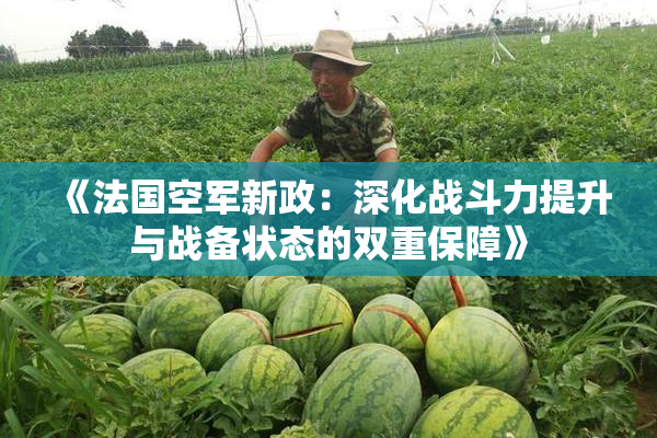 《法国空军新政：深化战斗力提升与战备状态的双重保障》