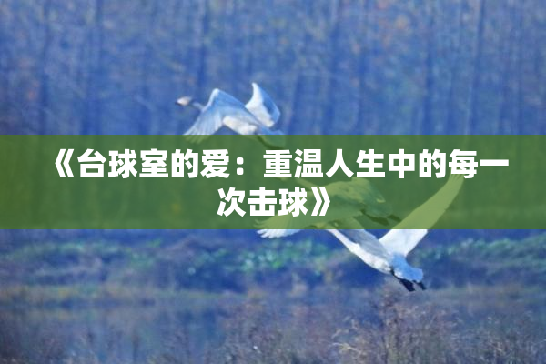 《台球室的爱：重温人生中的每一次击球》