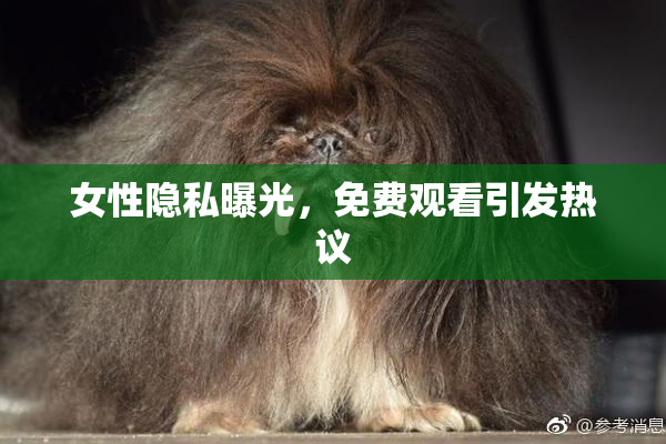 女性隐私曝光，免费观看引发热议