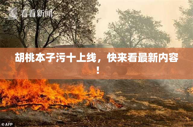 胡桃本子污十上线，快来看最新内容！