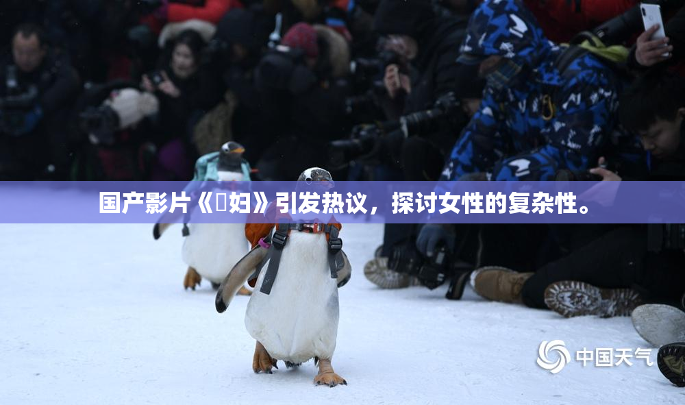 国产影片《婬妇》引发热议，探讨女性的复杂性。