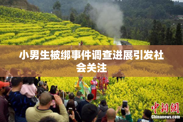小男生被绑事件调查进展引发社会关注