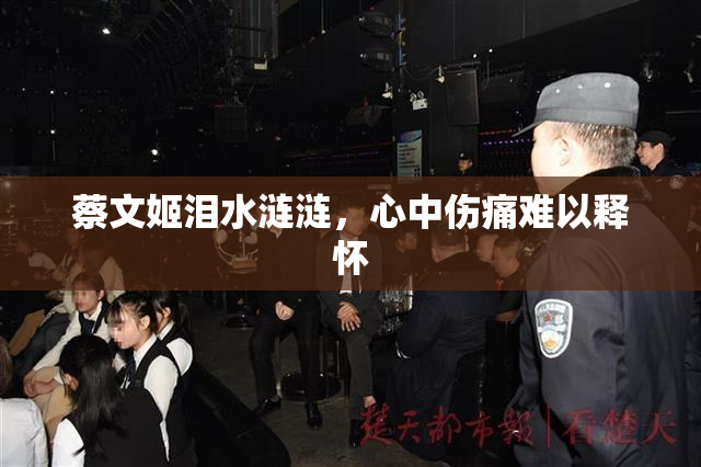 蔡文姬泪水涟涟，心中伤痛难以释怀