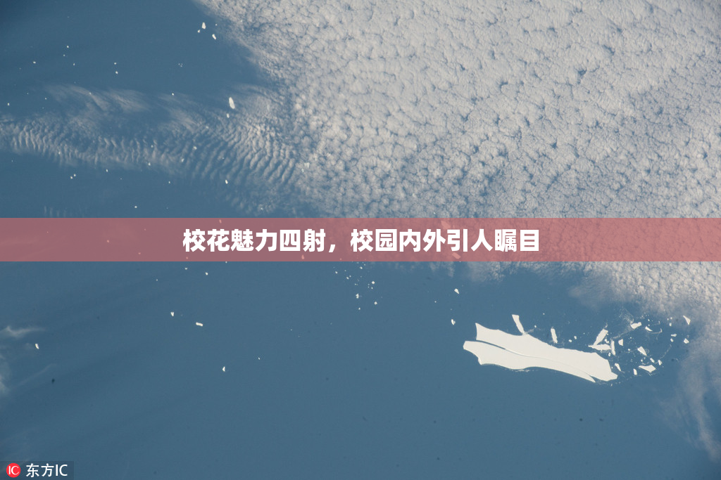 校花魅力四射，校园内外引人瞩目