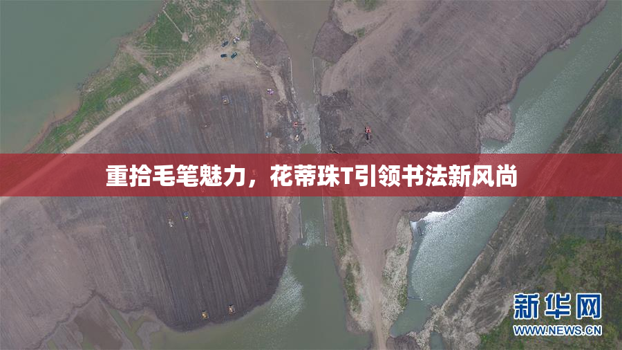 重拾毛笔魅力，花蒂珠T引领书法新风尚