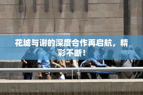 花城与谢的深度合作再启航，精彩不断！