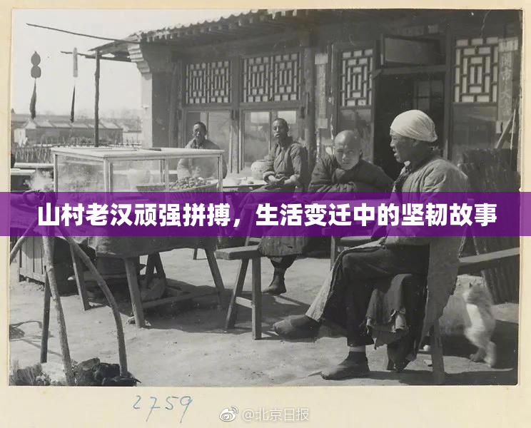 山村老汉顽强拼搏，生活变迁中的坚韧故事