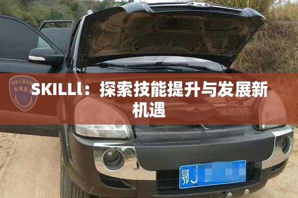 SKILLl：探索技能提升与发展新机遇