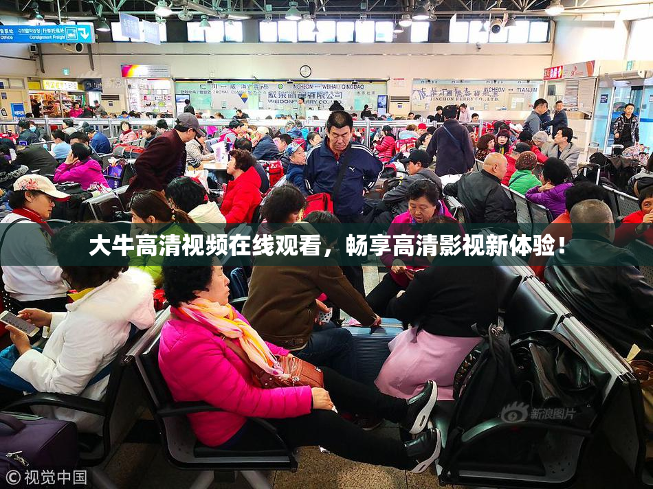 大牛高清视频在线观看，畅享高清影视新体验！
