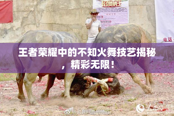 王者荣耀中的不知火舞技艺揭秘，精彩无限！