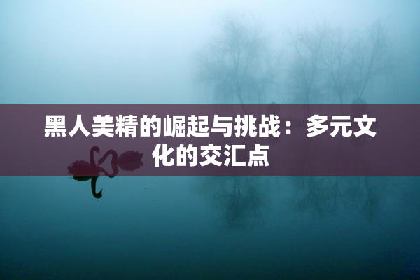 黑人美精的崛起与挑战：多元文化的交汇点