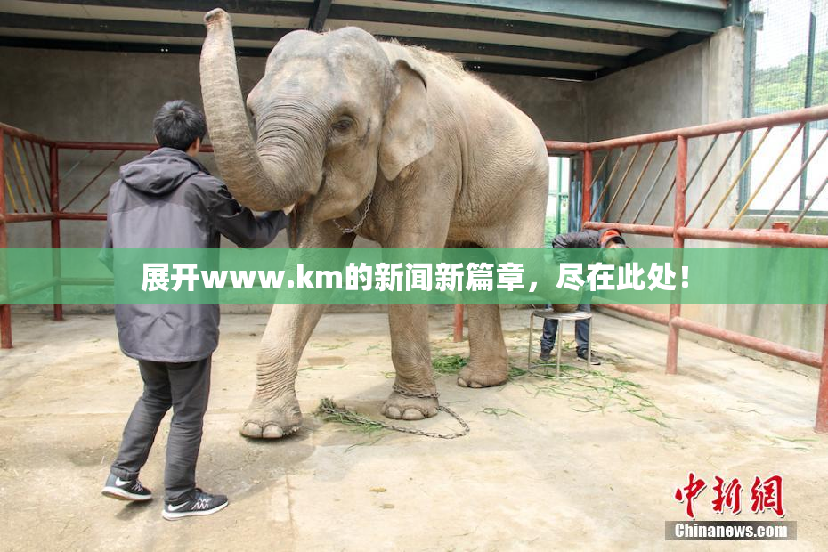 展开www.km的新闻新篇章，尽在此处！